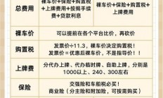 贷款购车后，如何正确安装VPS？一篇文章教你搞定！
