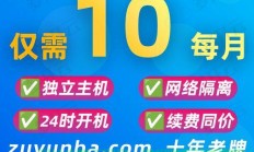 VPS租用一年全解析，优势、价格与选择指南