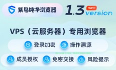 浏览器VPS代理，高效安全上网的秘诀大揭秘