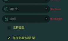 VPS拨号网络设置全攻略，打造安全高效的远程访问通道