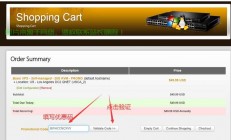 揭秘搬瓦工VPS密码，安全高效，一键连接！