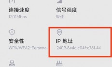 双栈VPS极速秘诀，网速飙升的秘密武器！