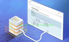 超值性价比之选，仅需2.5美元，体验Linux高性能VPS！