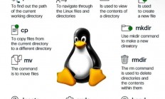 Linux VPS安全策略详解，保障数据安全和稳定运行的关键秘籍
